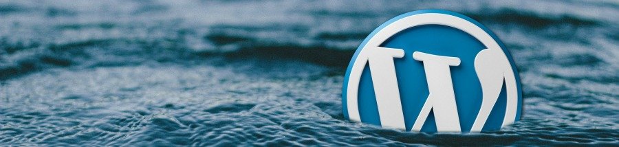 Starting a blog with WordPress