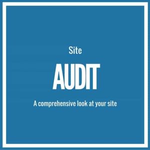 Comprehensive Site Audit