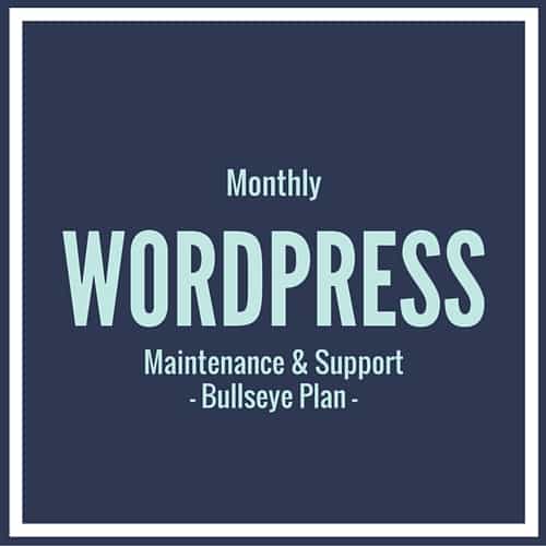 WordPress Support Bullseye Plan
